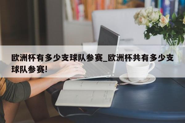 欧洲杯有多少支球队参赛_欧洲杯共有多少支球队参赛!