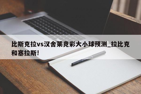 比斯克拉vs汉舍莱竞彩大小球预测_拉比克和塞拉斯!