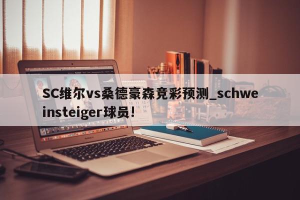 SC维尔vs桑德豪森竞彩预测_schweinsteiger球员!