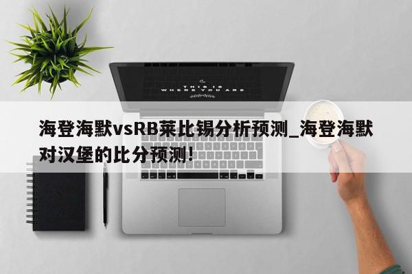 海登海默vsRB莱比锡分析预测_海登海默对汉堡的比分预测!