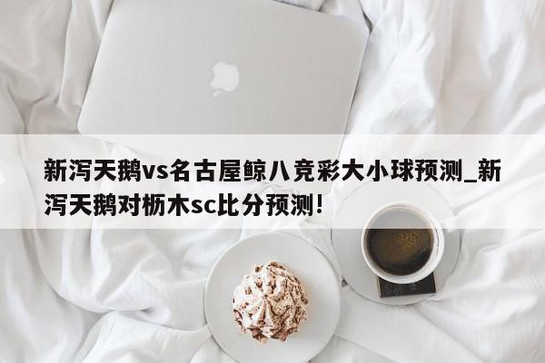 新泻天鹅vs名古屋鲸八竞彩大小球预测_新泻天鹅对枥木sc比分预测!